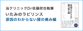 いたみのラビリンス 原因のわからない腰の痛み編